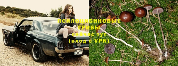 тгк Нея