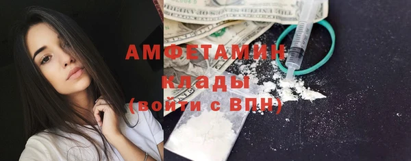 тгк Нея