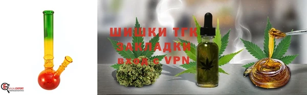 тгк Нея