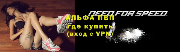 тгк Нея