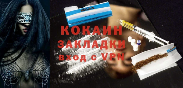 тгк Нея