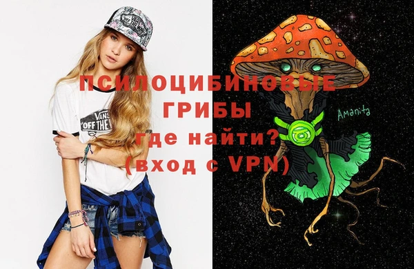 альфа пвп Нефтекумск