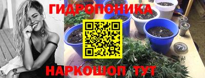кокаин перу Кингисепп