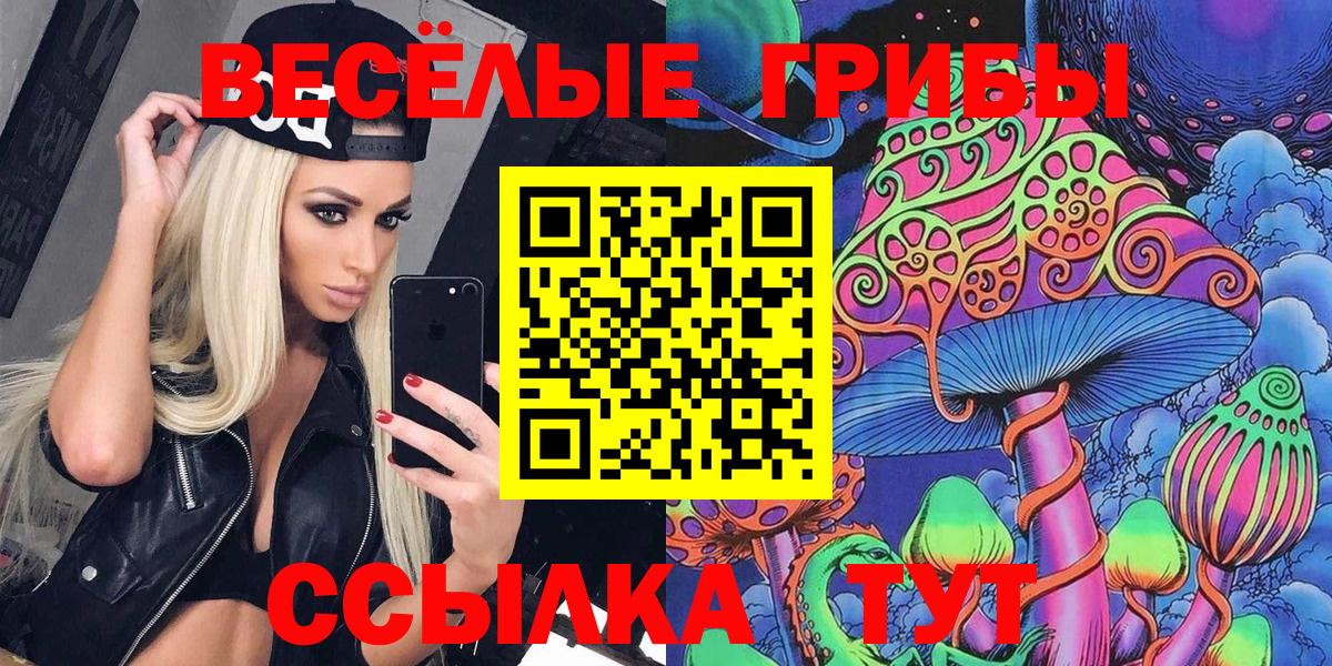 Тавда  Псилоцибиновые грибы Magic Shrooms  Вход с VPN 