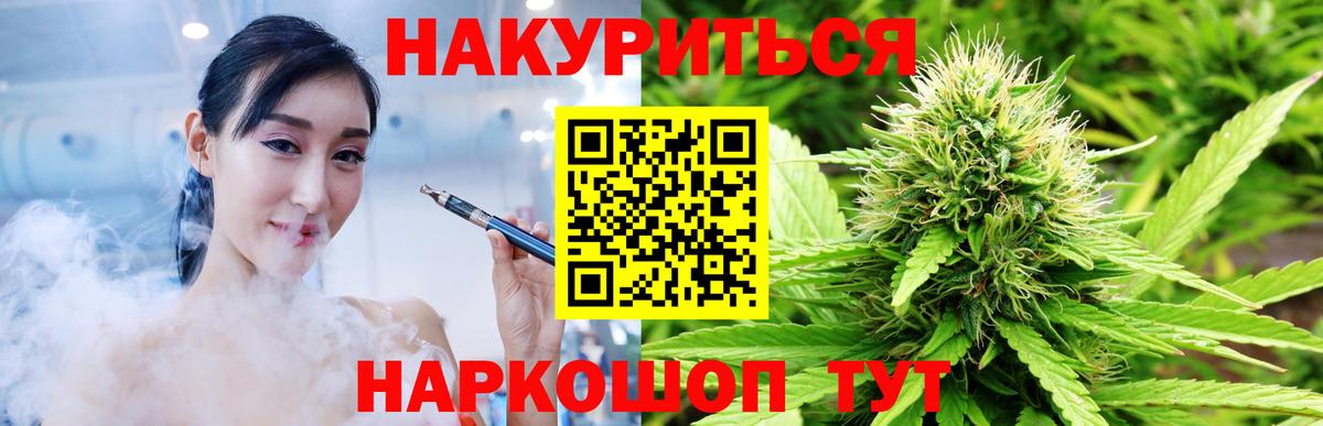 Бошки марихуана планчик  Вход с VPN  Каннабис планчик  Канабис конопля  Тавда 